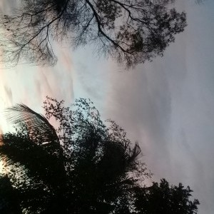 Event photo 2